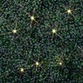 thumbnail image 4 of Novelty Lights 4x6 Warm White LED Net Lights, Outdoor Bush & Hedge Lights, 4 of 5