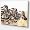 thumbnail image 2 of Zebras in A Row in Grassland - African Wall Art Print, 2 of 3