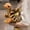 BW, variant on EGNMCR 12.6 In Simulation Turtle Doll Turtle Plush Toys Cloth Doll Souvenir Plush Toys For Children Birthday Gift Simulation Fluffy TurtleSnakerabbit Birthday Gifts for Kids