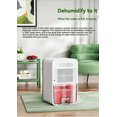 thumbnail image 3 of Dehumidifier with Auto Defrost, Timer Control and Sleep Mode, 1 Unit, 3 of 5
