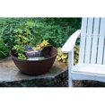 thumbnail image 1 of AquaGarden Trousse de Mini Étang, 1 of 1