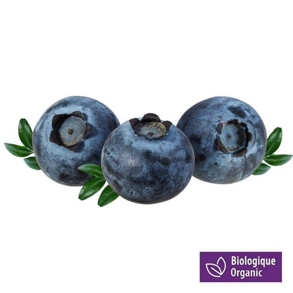 Fresh Organic Blueberries, 6 oz