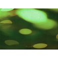 thumbnail image 1 of Ahgly Tapis Rectangulaire Lavable en Machine Intérieur Transitionnel Vert Forêt Foncé, 2 Pieds x 3 Pieds, 1 of 7