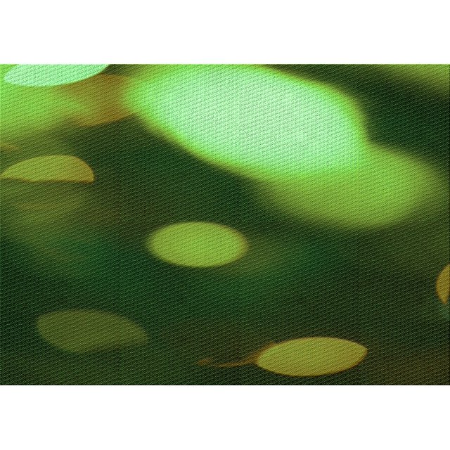 Ahgly Tapis Rectangulaire Lavable en Machine Intérieur Transitionnel Vert Forêt Foncé, 2 Pieds x 3 Pieds