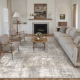thumbnail image 1 of BERTHMEER 6'x9' Abstract Area Rugs for Living Room Clearance Bedroom Dining Room Office Farmhouse Contemporary Neutral Distressed Machine Washable, Beige Gray, 1 of 5