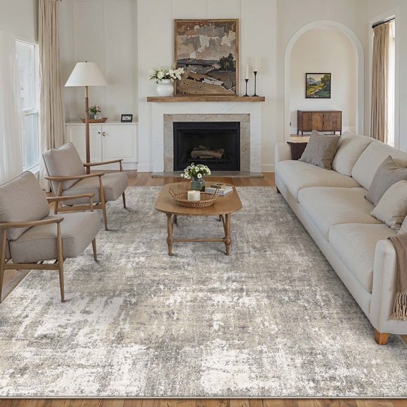 BERTHMEER Tapis de Zone Abstrait 6'x9' pour Salon Liquidation Chambre Salle à Manger Bureau Style Ferme Contemporain Neutre Usé Lavable à la Machine, Beige Gris