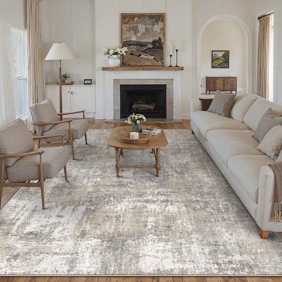 BERTHMEER 8'x10' Area Rugs for Living Room Bedroom Dining Room Office Farmhouse Abstract Neutral Distressed Contemporary Machine Washable Rugs Carpets, Beige Gray