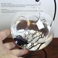 thumbnail image 3 of Aquarium Suspendu, Poisson Suspendu Transparent Grand Espace en Verre pour Décoration Intérieure, 3 of 8