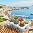 thumbnail image 5 of Wzzjkit Nursery Fleshiness Pots Reusable Planting Trays Suitable for Flowers Vegetables, 5 of 5