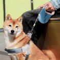 thumbnail image 5 of XYAIYT 5 Meter Automatic Retractable Dog Leash with Ergonomic Handle for Easy Control and Walking Heavy Duty Stretchable Rope for Small to Large Dogs Pet Supplies, 5 of 5