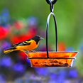 thumbnail image 4 of Couronne Co. COURM33720008 Orange Cuban Bowl Birdbath, 4 of 7