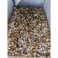 thumbnail image 2 of HJADGG Mushrooms Porcini Spores Spawn Mycelium Heirloom Non-GMO for Planting, 2 of 8