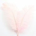 thumbnail image 1 of Ostrich Feather 30-35Cm Color Feather Decoration 2# Light Pink A Feather (1*Feather), 1 of 7