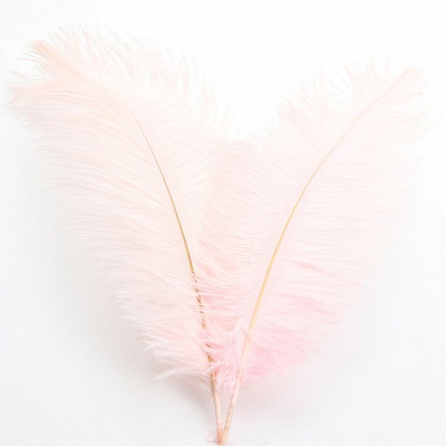 Ostrich Feather 30-35Cm Color Feather Decoration 2# Light Pink A Feather (1*Feather)