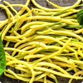 thumbnail image 3 of GSDWIUEW 100+ Jade & Cherokee Wax Bush Bean Combo (Mixed Seeds) All Heirloom Seeds, 3 of 3