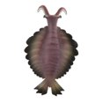 thumbnail image 1 of HILABEE Figurines Jouets Cognitifs Imperméables Fournitures Anomalocaris, 1 of 8