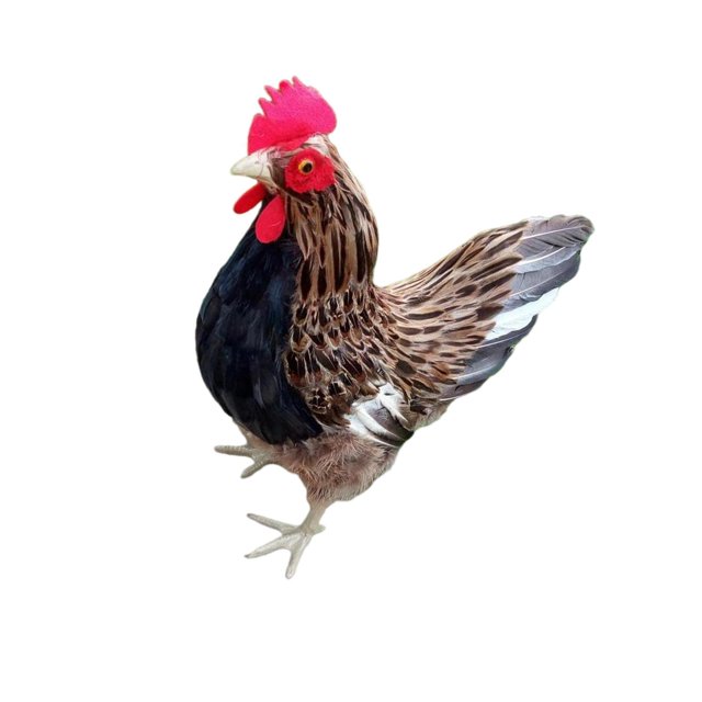 Dalazy Realistic Hen Model Lifelike Chicken Sculpture Animal Figurine Brown L 1Set