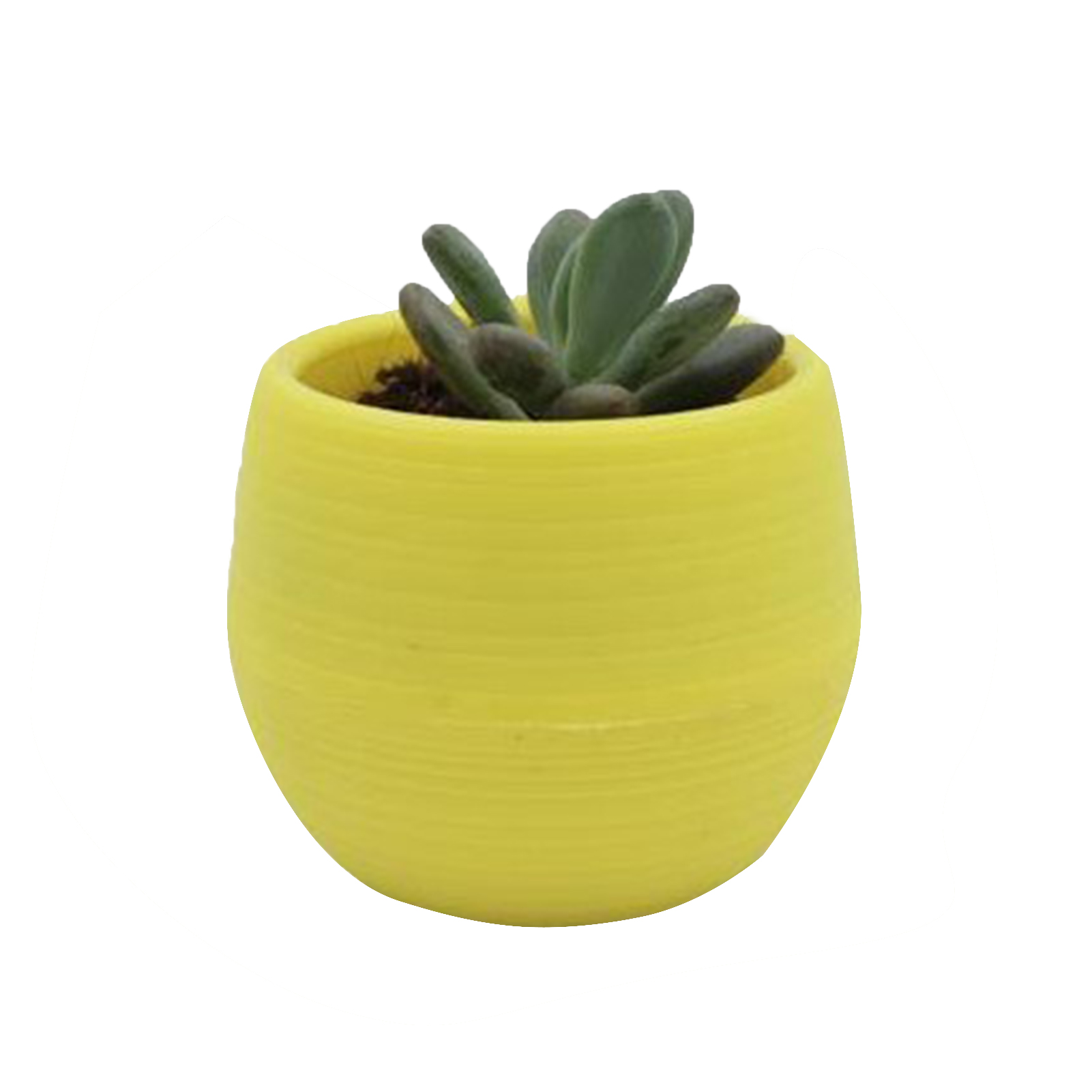 Pot de Fleurs Conteneur de Semis Conteneur de Fleurs Pot de Fleurs en Plastique Pot de Succulentes Mini Conteneur de Semis Pot de Fleurs en Plastique pour Jardin Cour Balcon