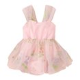 thumbnail image 1 of MIASHUI Barboteuse Robe Tutu en Maille Sans Manches à Broderie Florale pour Filles, Rose, 3-6 Mois, 1 of 8