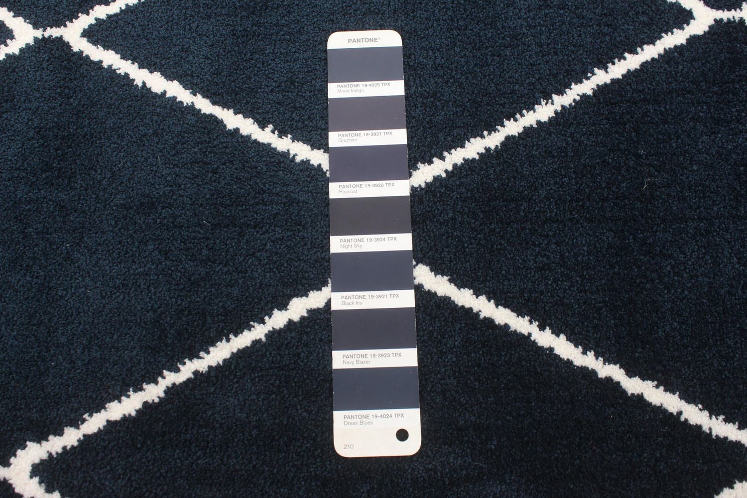 ECARPET Contemporary Area Rug for Living Room, Bedroom, Dinning Hall