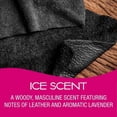 thumbnail image 3 of California Scents Palms Ice Paper Car Air Freshener, 3 of 5