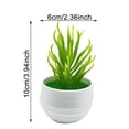 thumbnail image 4 of SIfdSeng Get it Fast 3 Mini Indoor Green Small Bonsai Potted Potted Green Home Decoration, 4 of 9