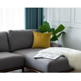 thumbnail image 4 of Gouchee Home Solid Velvet Cushion, 4 of 4