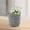 Grey, variant on TIMIFIS Cotton String Storage Basket Wire Hanging Basket Kitchen Storage Basket Entrance Snack Basket Cosmetic Storage Box Hanging Cotton Rope Woven Storage Basket Home Storage Cotton Wire Basket
