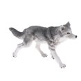 thumbnail image 1 of Simulation Animals Model Figure Kids Science Nature Educational Toy Decor Gray Kids Educational Toys Wolf, 1 of 7