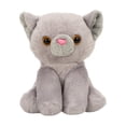 thumbnail image 1 of 4" british shorthair, 1 of 4
