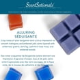 thumbnail image 4 of ScentSationals Scented Wax Cubes - Alluring, 4 of 4