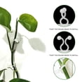 thumbnail image 4 of 50 Pcs Fixateur d'Aneth Vert pour Ligne Murale, Autocollant Fixateur Sans Traces, 4 of 7