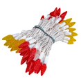 thumbnail image 4 of Novelty Lights 24FT 70 LED C6 Mardi Gras String Lights, Red & Yellow, 4 of 6