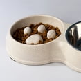 thumbnail image 4 of Bol à Alimentation Lente en Acier Inoxydable avec Coupelle à Eau pour, 4 of 6