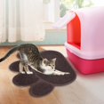 thumbnail image 2 of CHUANK Christmas Savings!  Small Rugs Door Mat 24x 17.7in  Non-Slip Machine Washable Microfiber Entry Rug  Shoe Scraper  Dog Door Mat  Super Absorbent Floor Mat For Muddy Wet Shoes And Pa, 2 of 7