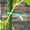 A, variant on XZNGL Gardening Cable Tie Plastic-coated Cable Tie Flower And Wood Cable Tie 20/50/10M