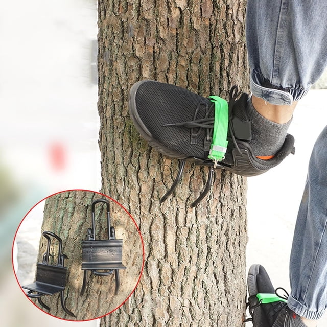 Ensemble d'Équipement d'Escalade d'Arbres Capacité 150 kg / Outils d'Escalade à Griffes en Acier avec Sangles / Résistant à la Rouille pour la Survie dans la Jungle, la Chasse et la Cueillette de Fruits / Conception Légère et Portable