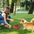 thumbnail image 4 of Durable Reusable Pet Feeding Bowls Bulk Set for Puppy Birthday Party and Daily Meals, 4 of 4