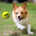 thumbnail image 2 of NERF Dog Blaster with Tennis Balls, Dog Toy 12inch, 2 of 7