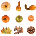 thumbnail image 1 of Ensemble de Citrouilles Artificielles Réalistes Fausses Citrouilles Décor pour l'Halloween, 1 of 10