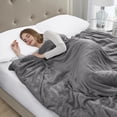 thumbnail image 2 of Beautyrest Plush Weighted Blanket, 2 of 7