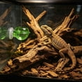 thumbnail image 4 of Transparent Elevated Reptile Feeding Dish With Suction Cup For Gecko Escape Proof Live Terrarium Feeder, 4 of 4