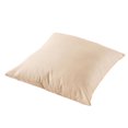 thumbnail image 4 of Outdoor Square Cushion 18in - Aqua (2 Pack), 4 of 5