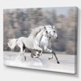 thumbnail image 3 of Designart Two White Horse Canvas Wall Art, 3 of 4