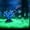 Army Green, variant on Glowing Pebbles Aquarium Substrate, Xinsrenus 100 Pcs Glow In The Dark Stones Decor, Luminous Pebbles for Aquascaping Fish Tank Vase Gardening, Multicolor Fluorescent Gravel for Night Glowing Effect,