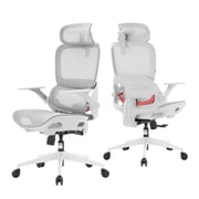 SIHOO B100 Office Chair, Comfy Ergonomic Office Chair, High Back Computer Chair, Flip-up Armrests & Swivel Desk Chair for Long Hours, Light Grey