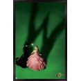 thumbnail image 1 of Wicked - Fiche d'introduction, 1 of 4