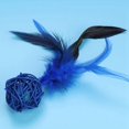 thumbnail image 1 of AMONIDA Jouet pour Chat, Jouet de Jeu pour Chat Durable, 5 Pcs / Set Coloré pour Chaton Chaton, 1 of 8