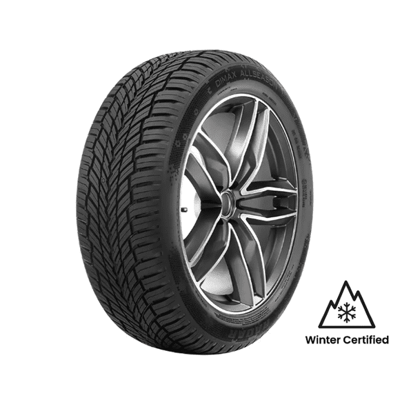 Radar Dimax All Weather 195/65R15 91H BSW tire