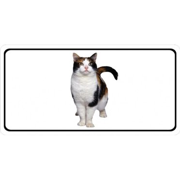 Calico Cat Photo License Plate